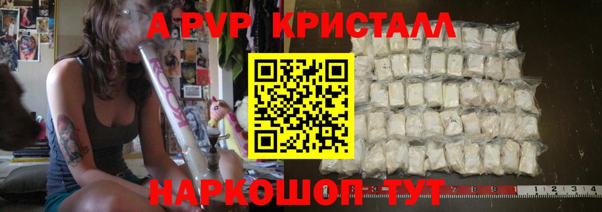 Кузнецк  Alfa_PVP крисы CK  A PVP СК  A PVP  Вход с VPN 