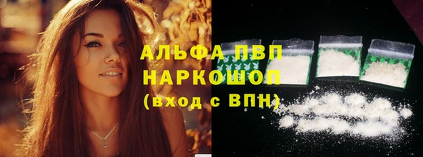 бошки Богданович