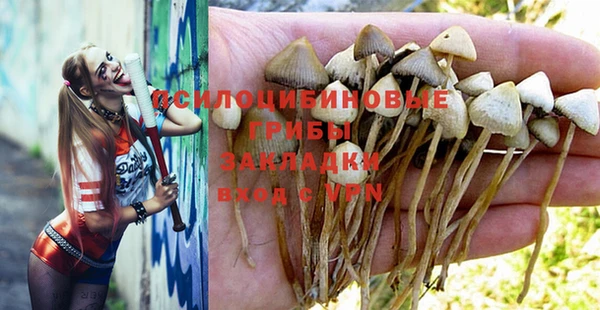 твердый Богородицк