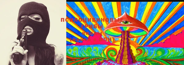 твердый Богородицк