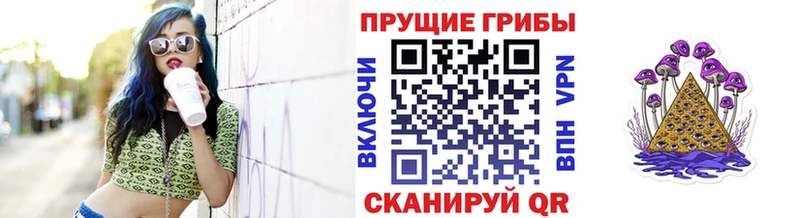 Псилоцибиновые грибы Psilocybine cubensis  Кузнецк 