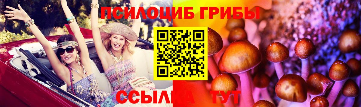 Галлюциногенные грибы Magic Shrooms Кузнецк